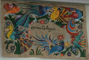 Ornitologia_banner